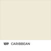 100 White Ancillaries [