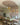 Eggshell / 2.5L Paint orchard pink