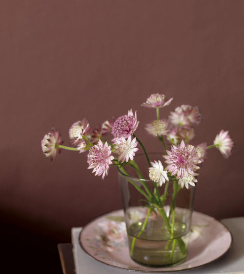 Beadlet Paint