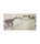 Calacatta Viola Honed Marble Tile