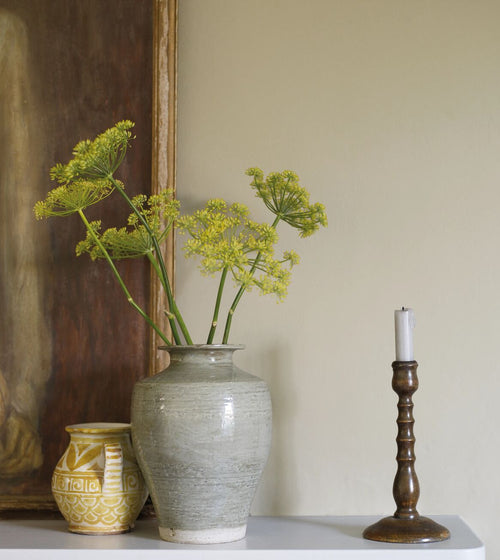 Cowrie Paint Cream & Neutral Paint
