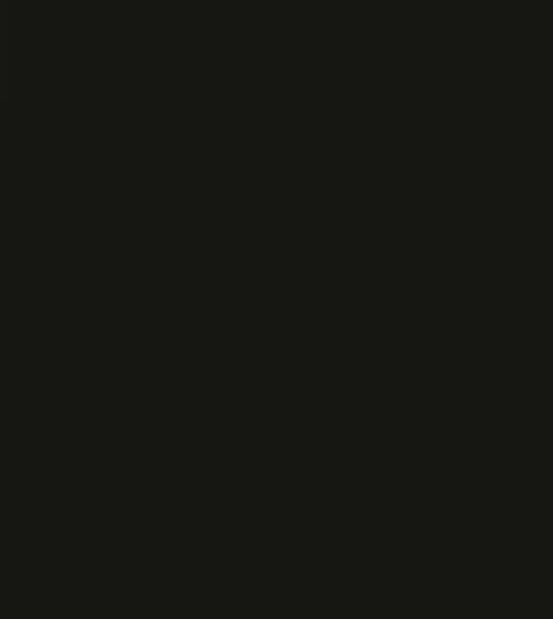 Charcoal Paint Statement Hue Paint Charcoal Paint Statement Hue Paint