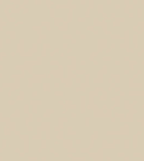 Ecru Paint Cream & Neutral Paint Ecru Paint Cream & Neutral Paint