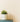 Eggshell / 2.5L Cream & Neutral Paint gesso paint