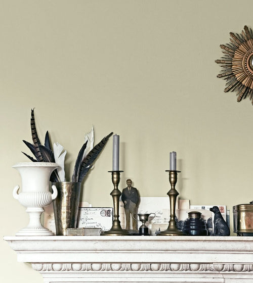Gin & Tonic Paint Wall & Ceiling Paint/Green Paint Gin & Tonic Paint Wall & Ceiling Paint/Green Paint Gin & Tonic Paint Wall & Ceiling Paint/Green Paint