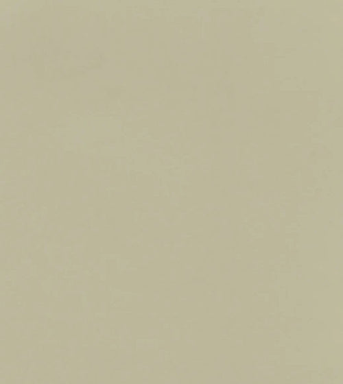 Gin & Tonic Paint Wall & Ceiling Paint/Green Paint Gin & Tonic Paint Wall & Ceiling Paint/Green Paint Gin & Tonic Paint Wall & Ceiling Paint/Green Paint Gin & Tonic Paint Wall & Ceiling Paint/Green Paint