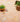 Default Title Bathroom Floor Tiles handmade classic terracotta square tile 20x20