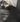Default Title Bathroom Floor Tiles milos black - 80 x 80