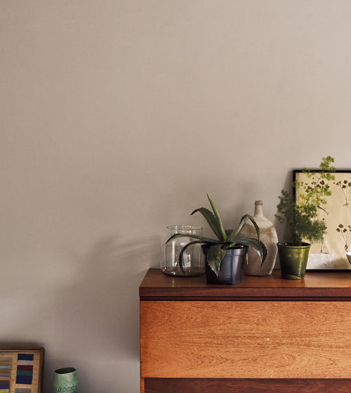 Oak Apple Paint Wall & Ceiling Paint Oak Apple Paint Wall & Ceiling Paint Oak Apple Paint Wall & Ceiling Paint Oak Apple Paint Wall & Ceiling Paint