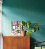 Eggshell / 750ml Blue Paint [