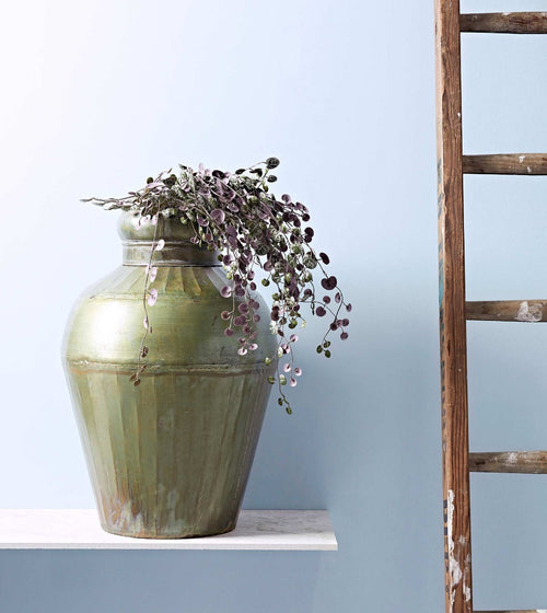 Blue Ashes Paint Wall & Ceiling Paint