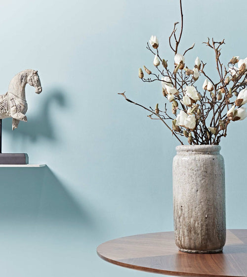 Duck Egg Paint Blue Paint