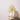 Eggshell / 2.5L Paint manna ash