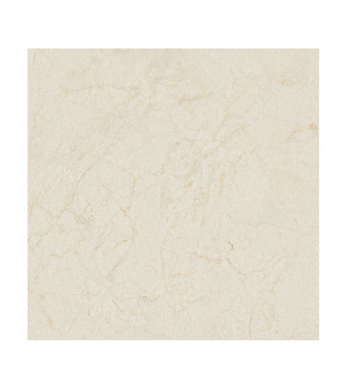 Monte Coto Cream Marble Effect Floor Tiles Monte Coto Cream Marble Effect Floor Tiles Monte Coto Cream Marble Effect Floor Tiles Monte Coto Cream Marble Effect Floor Tiles Monte Coto Cream Marble Effect Floor Tiles