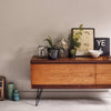Eggshell / 2.5L Earthy Tone Paint [