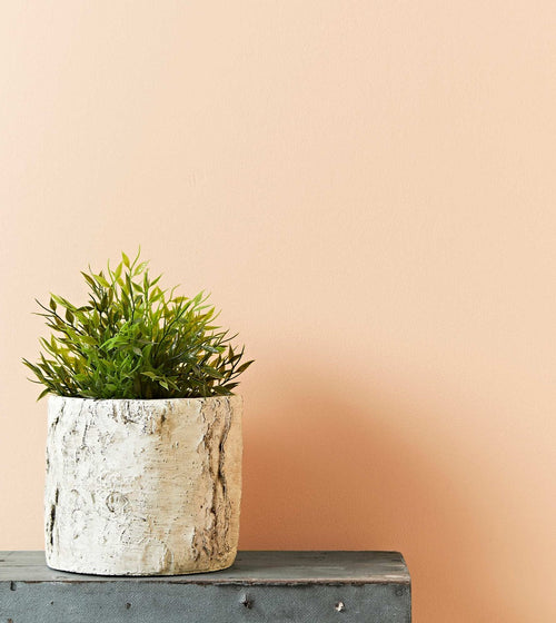 Old Ochre Wall & Ceiling Paint Old Ochre Wall & Ceiling Paint Old Ochre Wall & Ceiling Paint