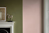 Eggshell / 2.5L Dark Paint [