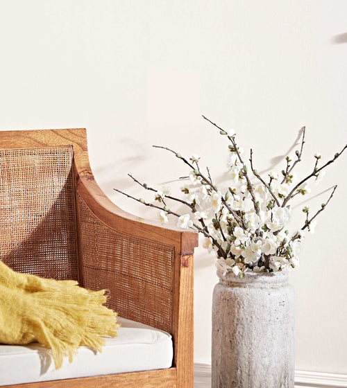 Passion Flower Cream & Neutral Paint