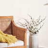 Eggshell / 2.5L Cream & Neutral Paint [