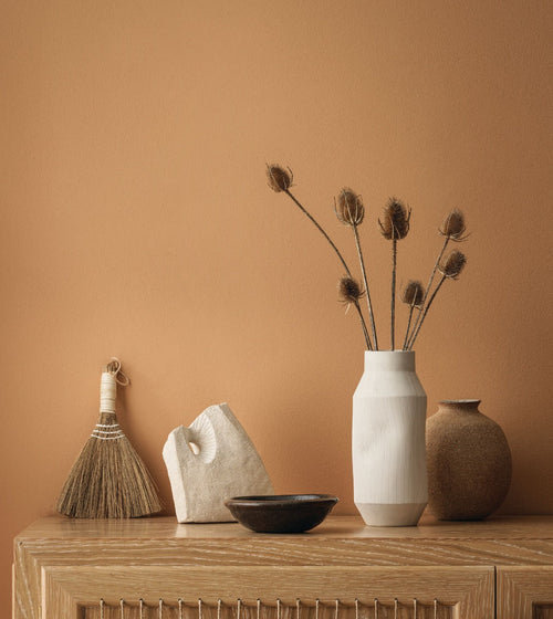 Polo Coat Earthy Tone Paint