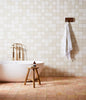 Default Title Bathroom Floor Tiles thumbnail