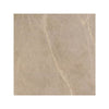 59.7 x 59.7 cm Bathroom Floor Tiles [