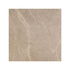 59.7 x 59.7 cm Bathroom Floor Tiles [