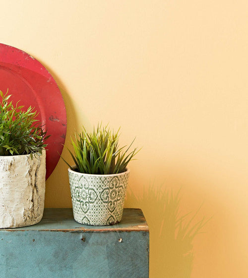Roman Ochre Cream & Neutral Paint