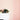 Eggshell / 2.5L Paint rose mallow