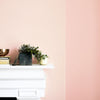 Eggshell / 2.5L Paint [