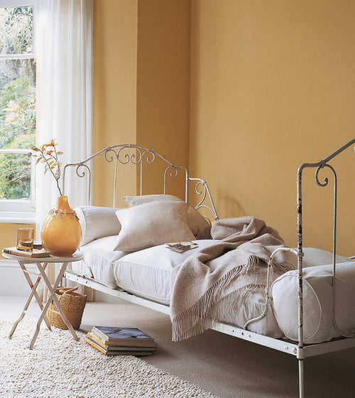 Sienna Earth Wall & Ceiling Paint