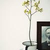 Eggshell / 2.5L Cream & Neutral Paint [