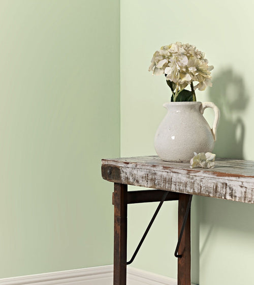 Summer Lichen Wall & Ceiling Paint/Green Paint