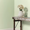 Eggshell / 2.5L Green Paint [