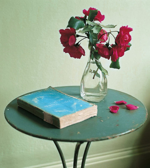 Sweet Cicely Wall & Ceiling Paint/Green Paint