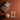 Eggshell / 2.5L Autumn Edit taos house