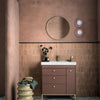 Eggshell / 2.5L Earthy Tone Paint [