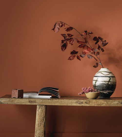 Wall & Ceiling Paint/Earthy Tones