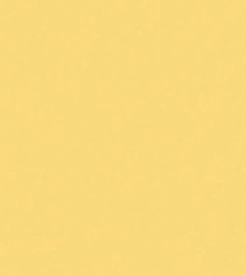 Aconite Yellow Paint Wall & Ceiling Paint Aconite Yellow Paint Wall & Ceiling Paint Aconite Yellow Paint Wall & Ceiling Paint