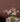 Eggshell / 2.5L Earthy Tone Paint beadlet paint