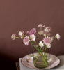 Eggshell / 2.5L Earthy Tone Paint [