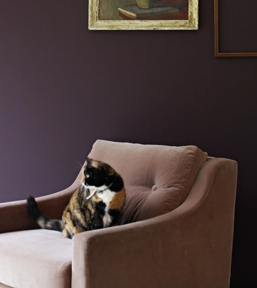 Carragheen Paint Dark Paint