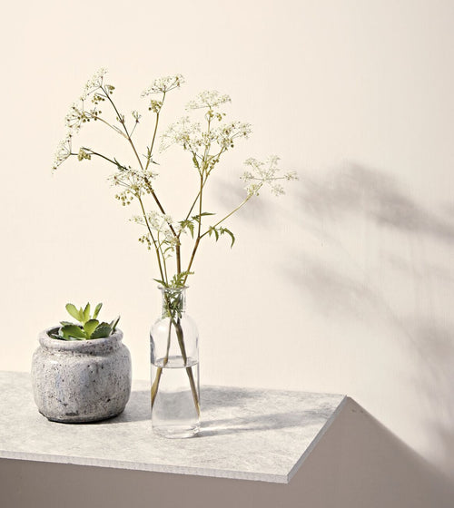 Chalk White Paint Wall & Ceiling Paint/All Colours