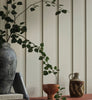Eggshell / 2.5L Cream & Neutral Paint [