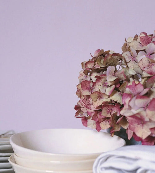 Chalk Violet Paint White Paint Chalk Violet Paint White Paint