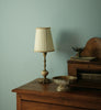 Eggshell / 2.5L Green Paint [