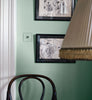 Eggshell / 2.5L Green Paint [