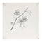 English Delft Blossom Charcoal Matt Tile