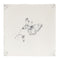 English Delft Butterfly 2 Charcoal Matt Tile