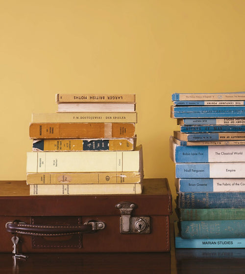 Goldfinch Paint Yellow & Orange Paint Goldfinch Paint Yellow & Orange Paint Goldfinch Paint Yellow & Orange Paint